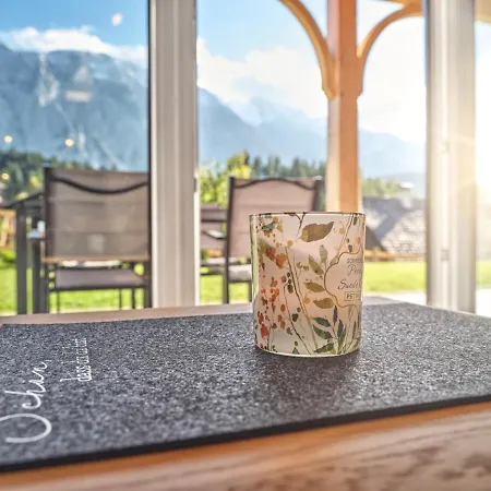 Panorama Alpine Living 201 شقة *
